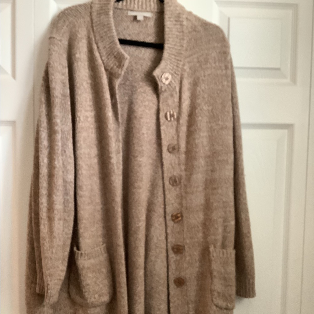 Woman Within Sweater